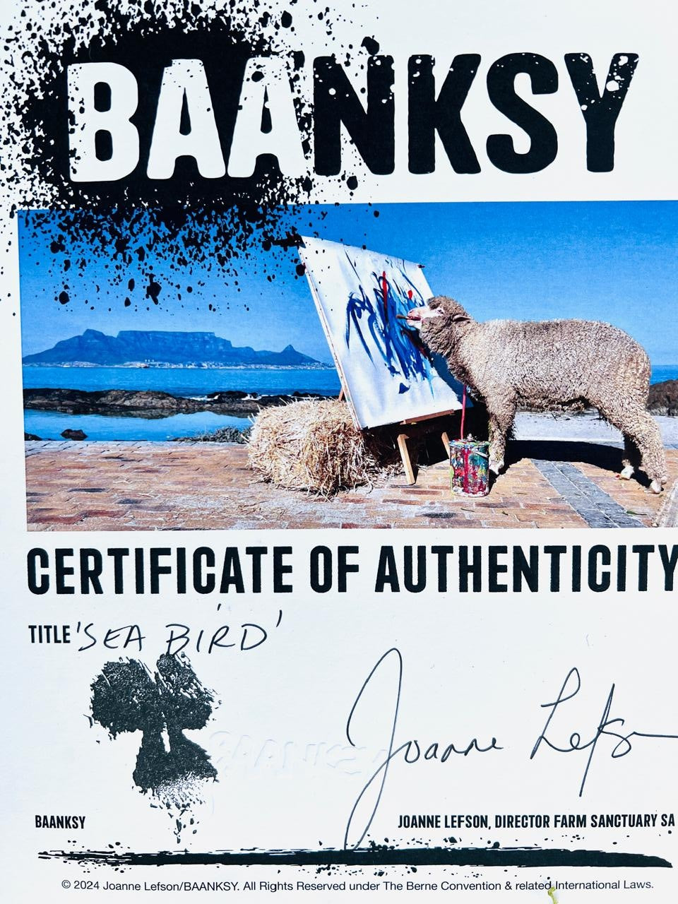 SEA BIRD (BAANKSY/LEFSON 2024)