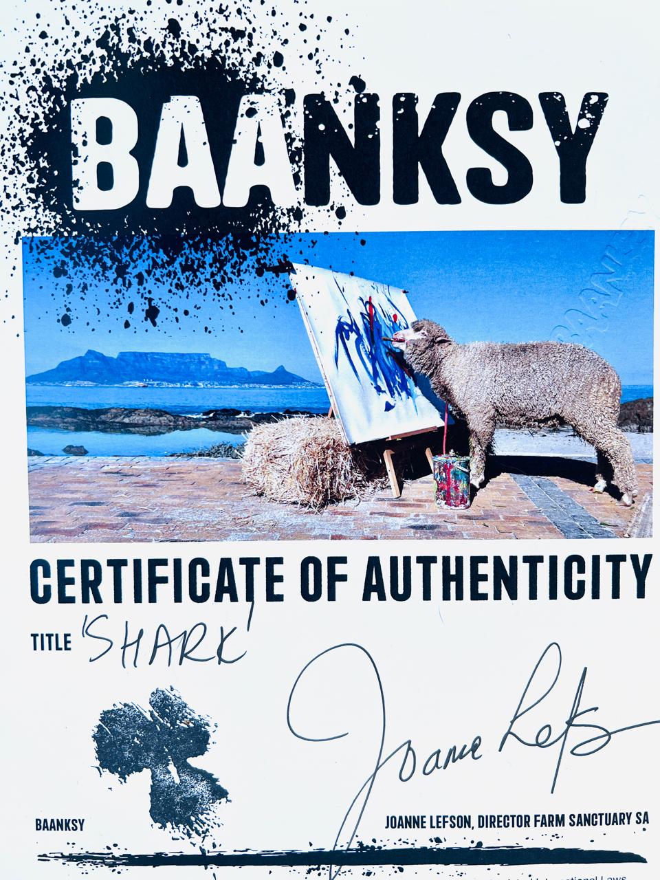SHARK (BAANKSY/LEFSON 2024)