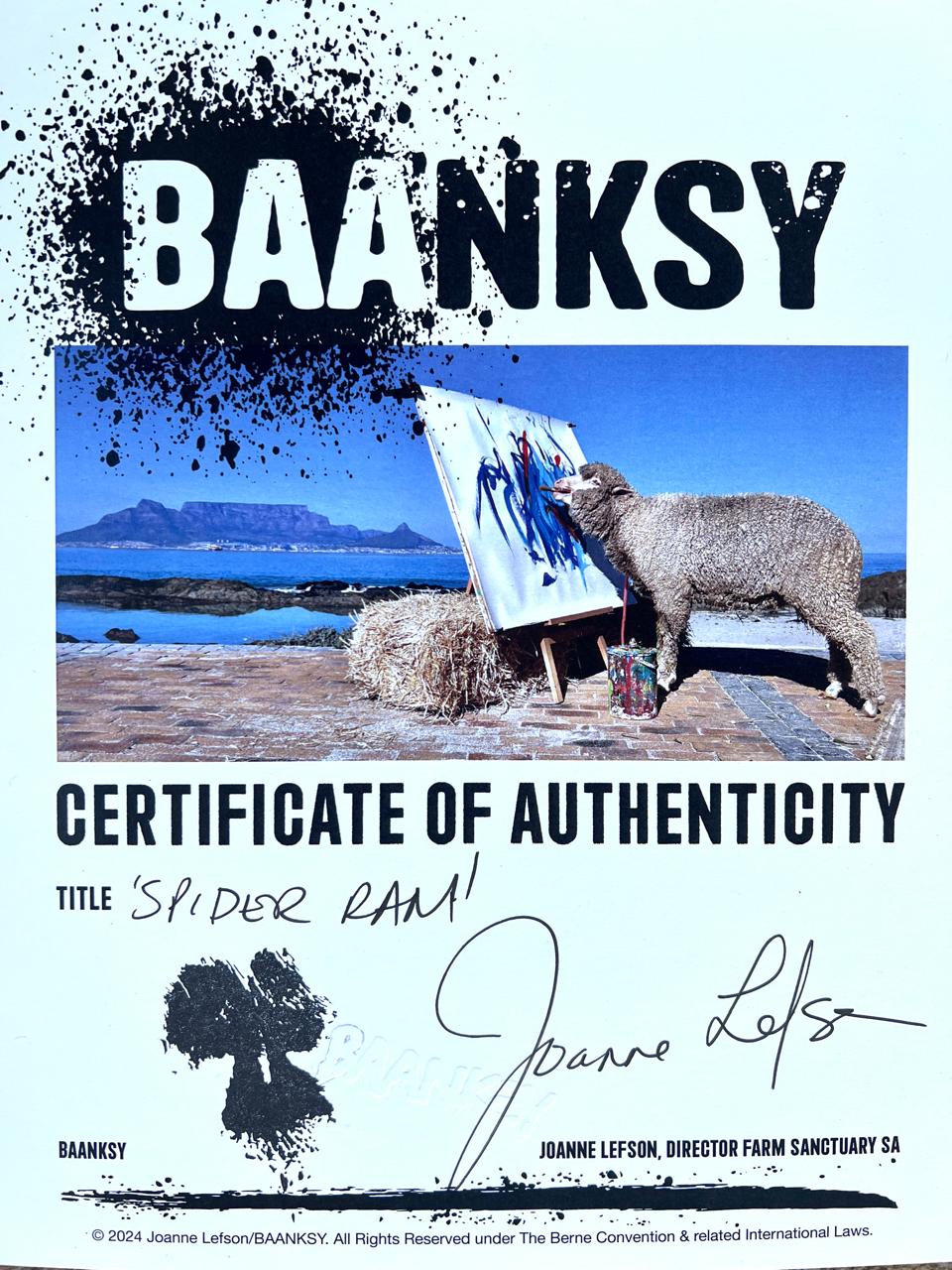 SPIDER RAM (BAANKSY/LEFSON 2024)