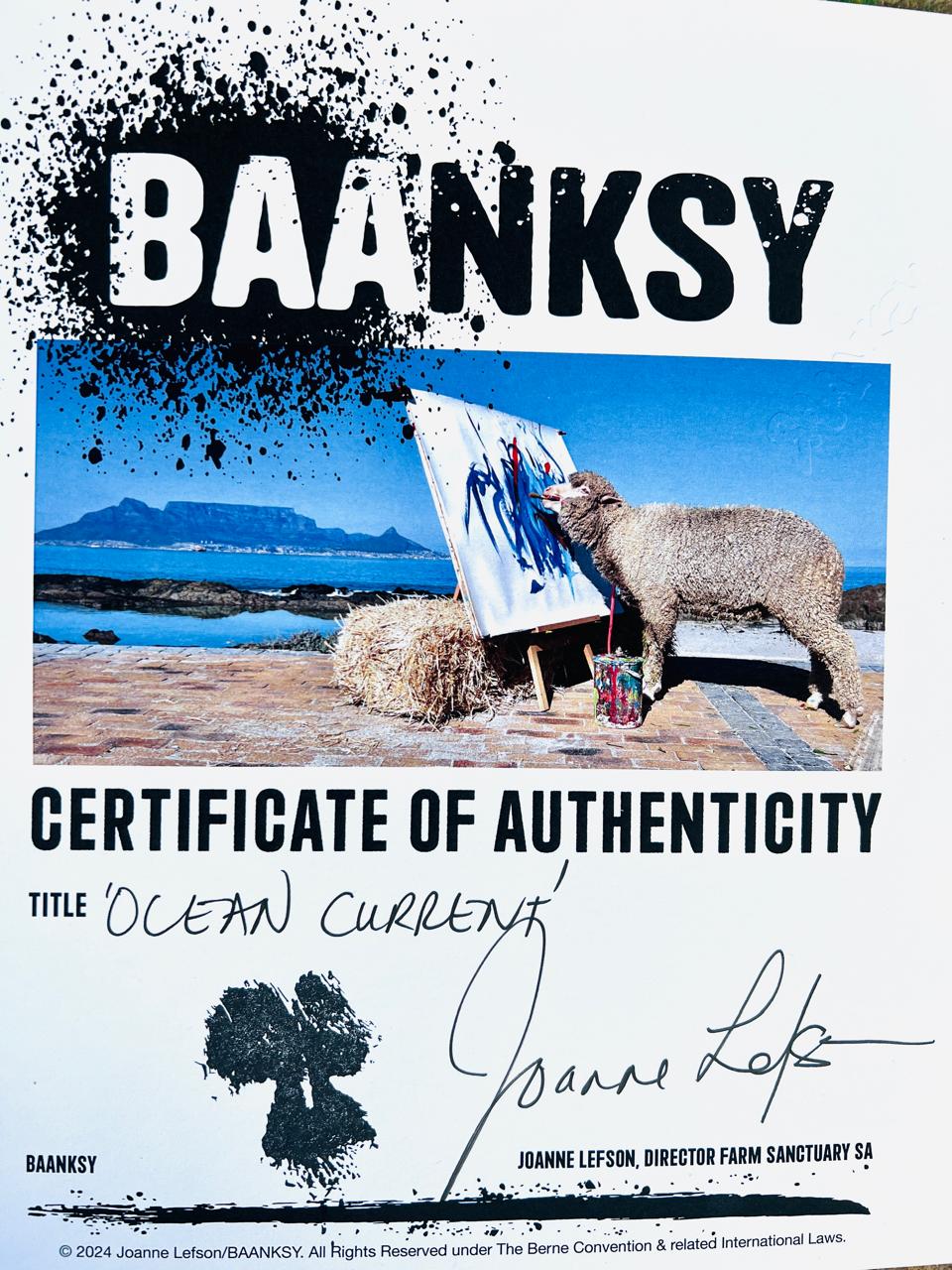 OCEAN CURRENT (BAANKSY/LEFSON 2024)